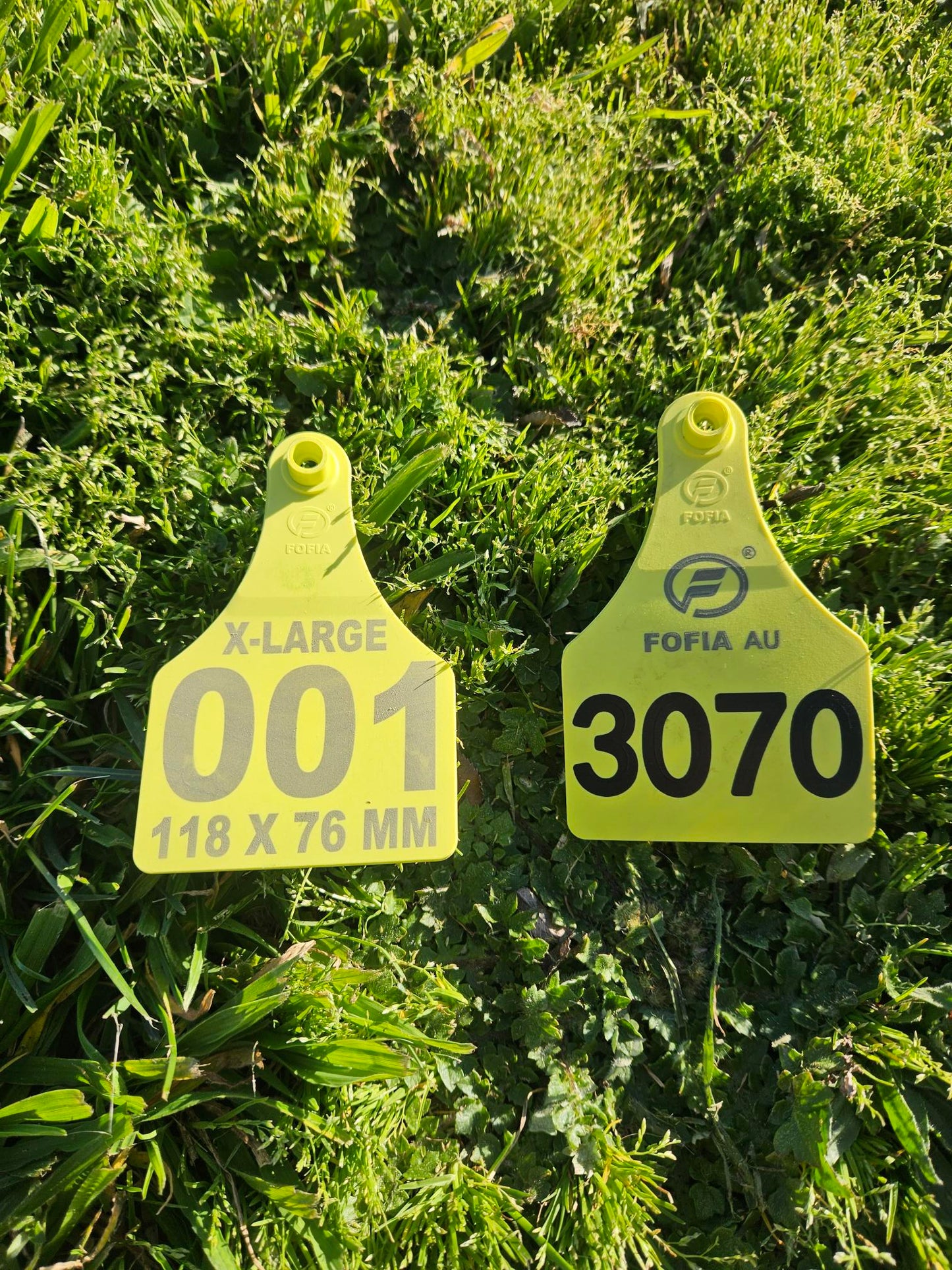 Livestock Tags