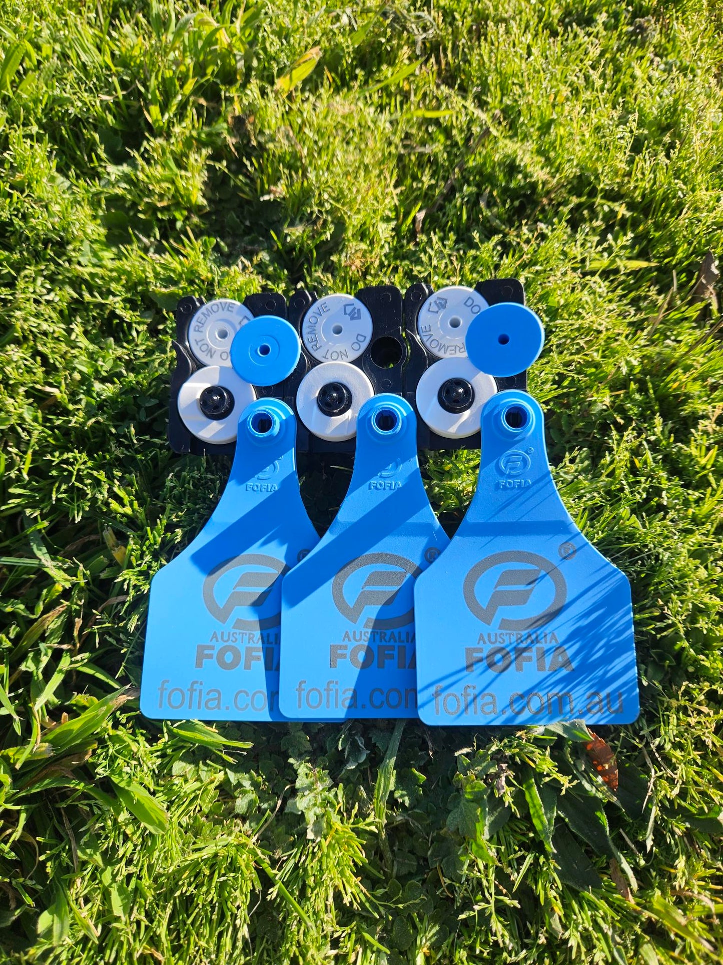 Livestock Tags