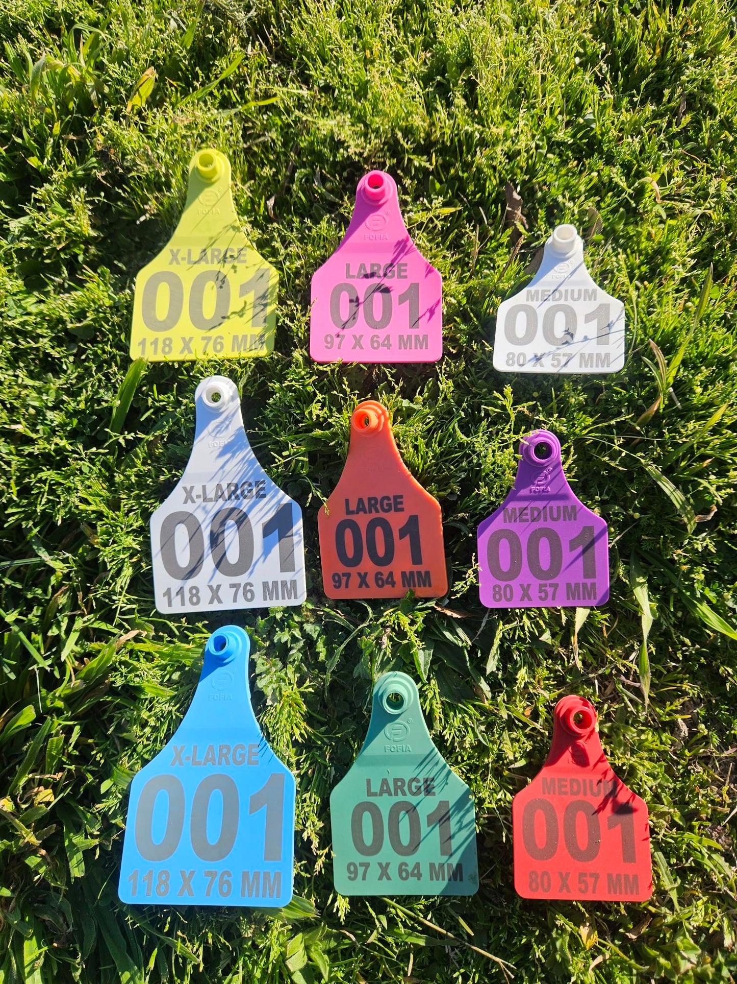 Livestock Tags