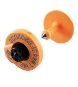 Allflex livestock ear tags for cattle sheep and goats - image 5