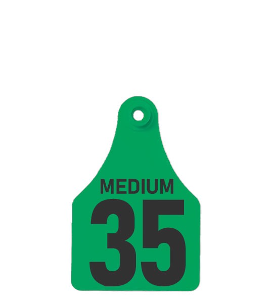 FOFIA medium female management tag