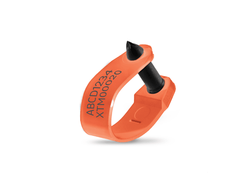 Electronic Tag – RapID Tag