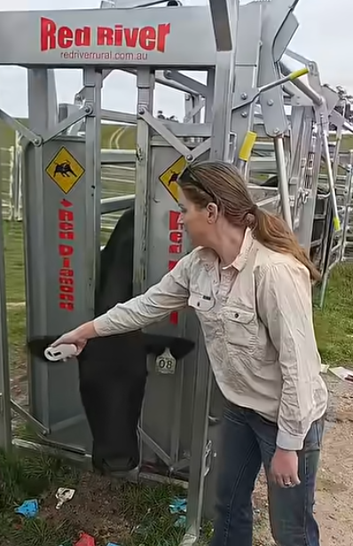 FOFIA PT160 HDX Pocket RFID Reader | NLIS Livestock Tags
