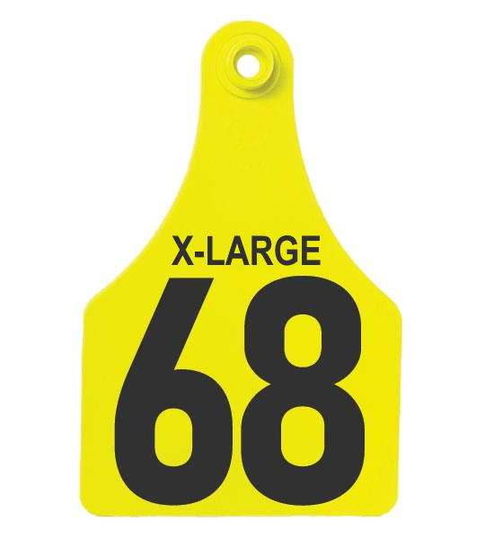 FOFIA extra large female management tag