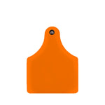 Allflex Custom Designed Tags, Maxi Male