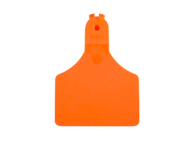 Visual Tag – Large A-Tag - Image 2