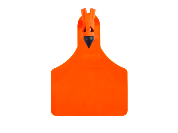 Visual Tag – Large A-Tag