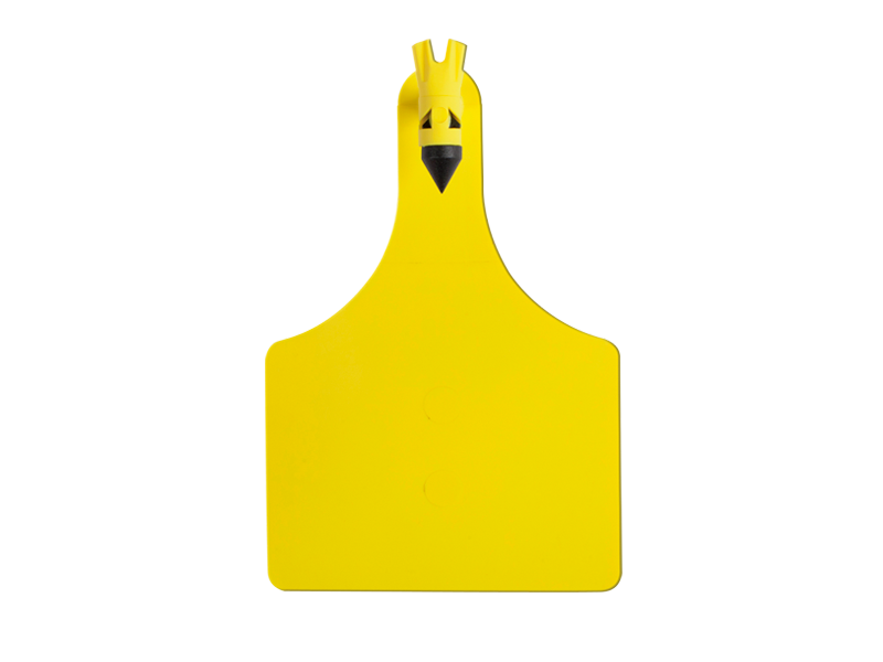 Visual Tag – Maxi A-Tag