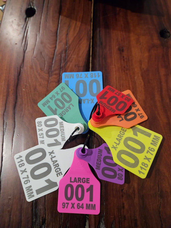 FOFIA female management tags — Medium, Large and Extra Large sizes in 9 colours