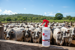 GRO Blood-Less Spray | Dehorning and Castration Wound Spray | Farm & Acre Co