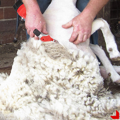 Rechargeable Cordless Sheep Shears