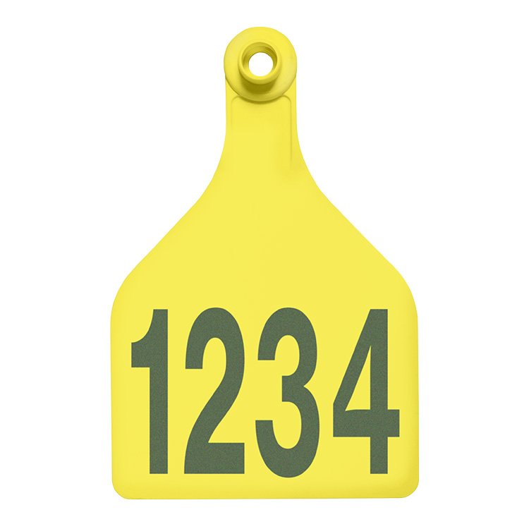 Shearwell BOS female visual tag, XL, Yellow, printed
