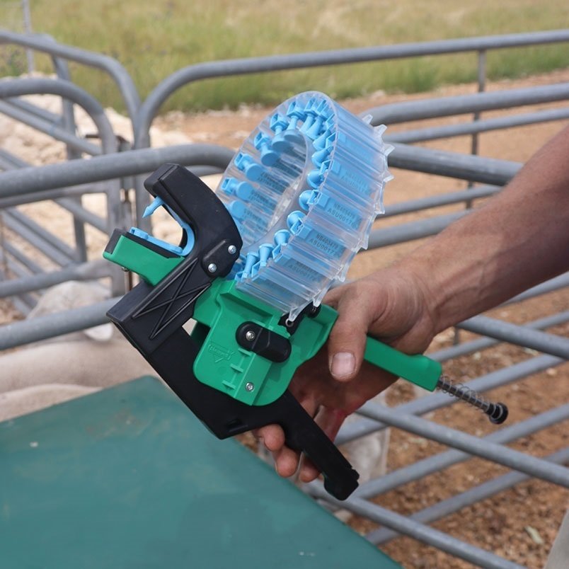 Shearwell Turbo Tagger in use in a sheep race